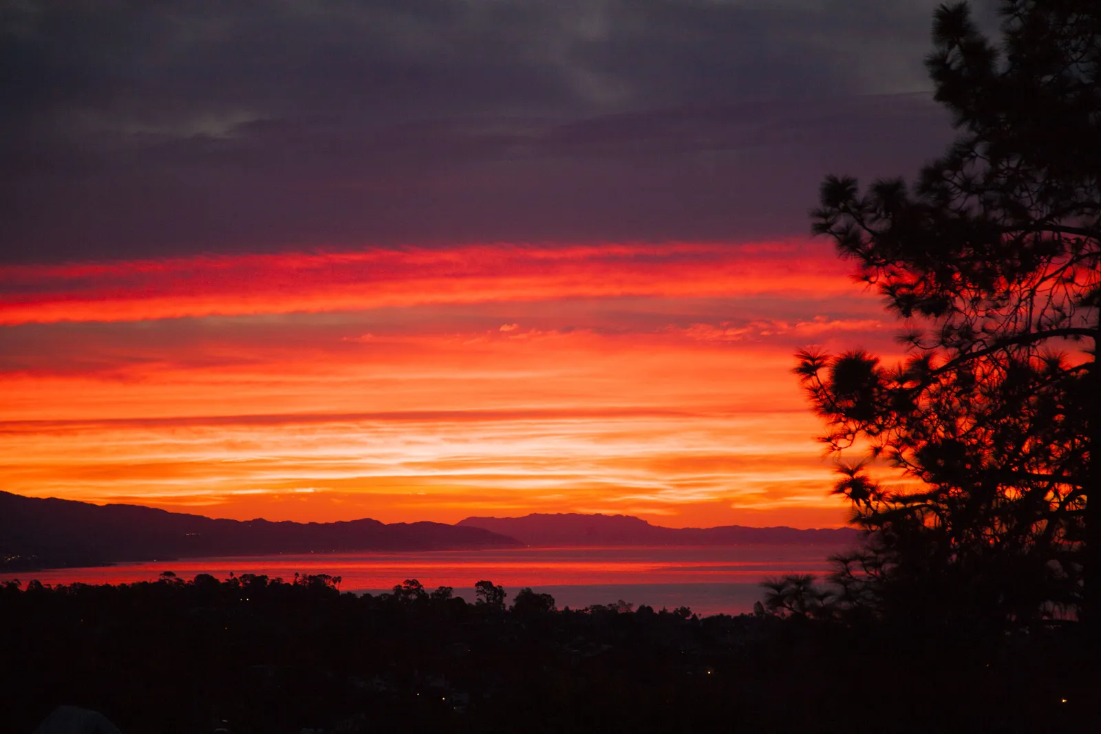 A fiery red December sunrise over the Santa Barbara Channel with a tree silhouetted in the foreground