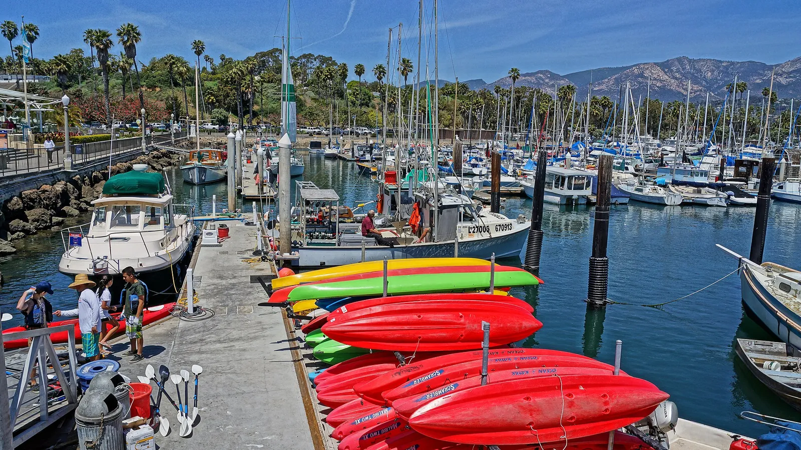 Rows of bright red and green rental kayaks on the docks at Santa Barbara Harbor with the mountains behind