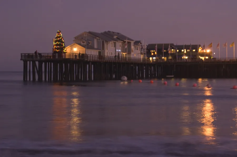 A lighted Christmas tree on Stearns Wharf at dusk, reflected in the water off Santa Barbara